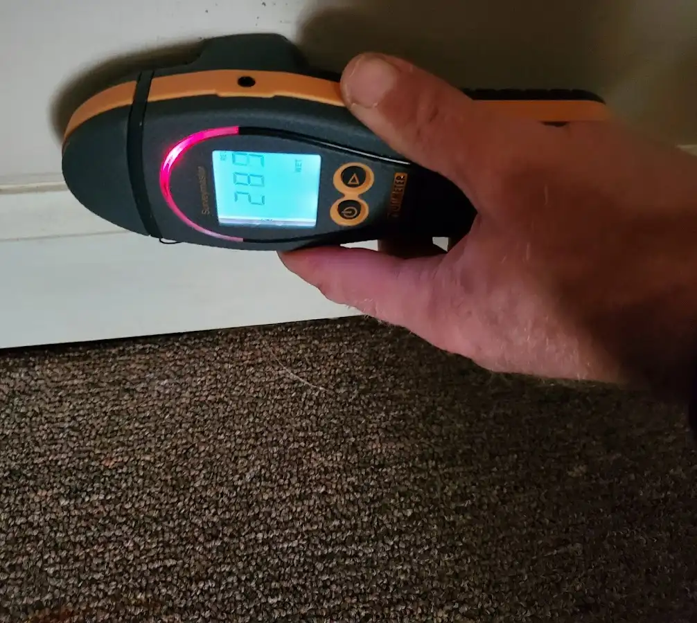 Moisture detection at baseboard during Sewage Cleanup & Sanitation in Cedar Falls